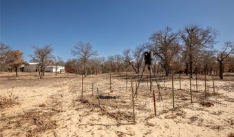 6199 County Road 335, Anson, TX 79501