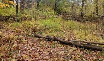 Schaen Drive, Andover, OH 44003
