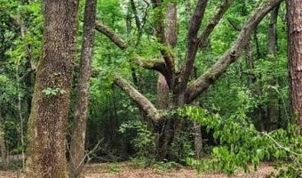 0 Peapatch Rd, Biloxi, MS 39532