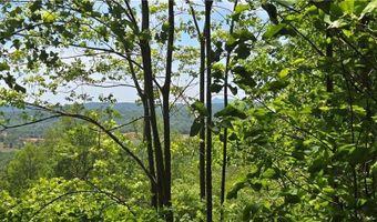 Goose Creek Lane, Ararat, VA 24053