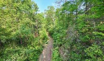 1200 Tobacco Branch Rd, Almond, NC 28702