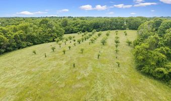 Lockmier 57+/- Acres Rd, Augusta, KY 41002