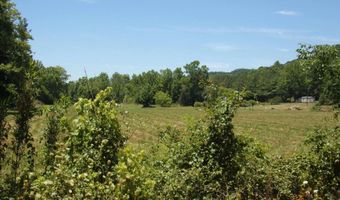 6608 Sand Valley Rd, Attalla, AL 35954