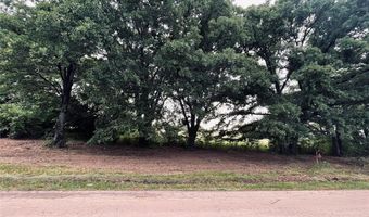 Lot 6 COUNTY ROAD 1560, Alba, TX 75410