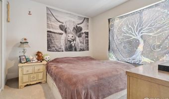608 Apex Trl, Ault, CO 80610