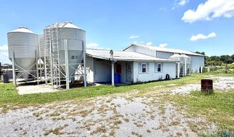 3027 Asbury Rd, Albertville, AL 35951