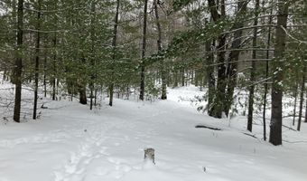 VL Wilderness Circle, Alger, MI 48610