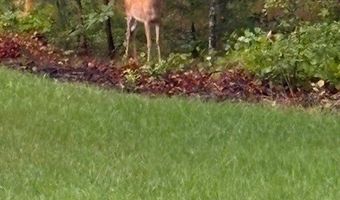 9377 Magnolia Blossom Rd, Ashland, VA 23005