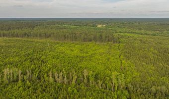 0 Flowers Rd, Bay Minette, AL 36507