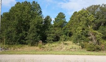 2867 N Nepera Rd, Avon Park, FL 33825