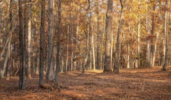 257 W Chapman Rd, Belton, SC 29627