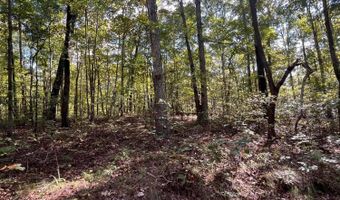 11 12 WHITE OAK Pl, Arley, AL 35541