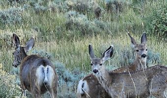 UPPER PICNIC RIDGE Road, Bondurant, WY 82922