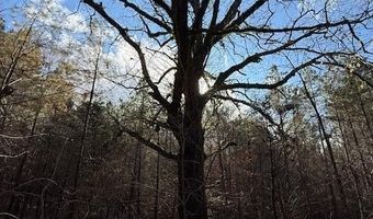 Beck Springs, Ashland, MS 38603