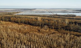 3300 Sheppard Island Rd, Altheimer, AR 72004