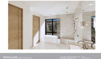 46 Red Spruce Ln 2, Beaver Creek, CO 81620