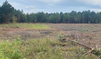 Lot 1-A Daniels Lane, Bennettsville, SC 29512