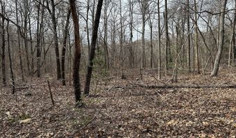 Highway 105, Baldwin, GA 30511