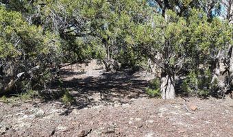 0 Westwood Rnch, Ash Fork, AZ 86320