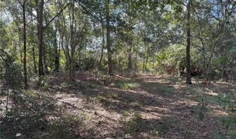 0 ALTURAS BABSON PARK CUT OFF Rd, Bartow, FL 33830