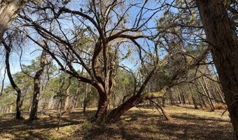 9- B Dulwich Dr, Amherst, VA 24521