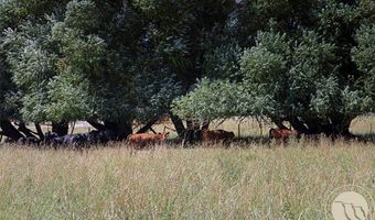 Nsn South Weast Ave, Absarokee, MT 59001