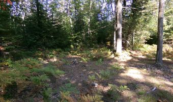 V/L 30AC Lake Winyah Road, Alpena, MI 49707