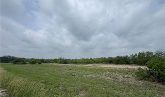Highway 359 lot 0, Alice, TX 78332
