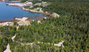 Lot 9-1 Black Duck Cove Road, Beals, ME 04611