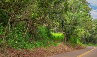 APOPO RD, Kapaa, HI 96746