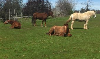 180 Stallion Way, Angels Camp, CA 95222