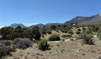 Rudin Dr, Cold Creek, NV 89124