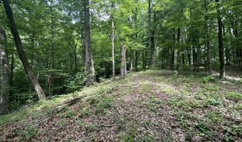 Lot 5 & 6 Lafon Road, Bath Springs, TN 38311