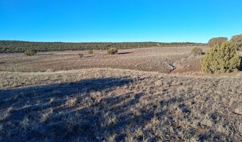 92 County Road 8223, Concho, AZ 85924