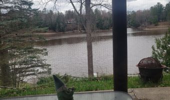 6249 Wolverine Trl, Alger, MI 48610