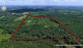 County Road 25, Banks, AL 36005