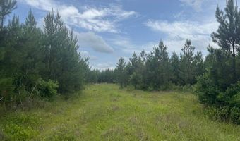 0 Salco Rd, Axis, AL 36505