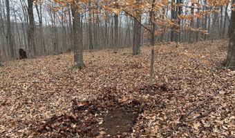 TBD1 E Willow Rd, Bloomfield, IN 47424