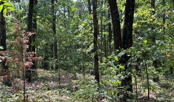 Cranbrook Lane lot 21, Bella Vista, AR 72714
