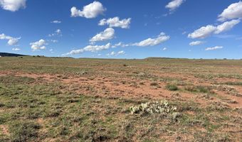 1342 County Road 5020, Concho, AZ 85924