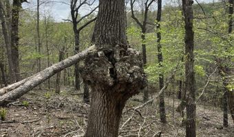 State Hwy N Tract G, Ava, MO 65608