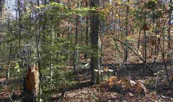 0009 SPRINGHOLLOW Rd Lot 9, Ashville, AL 35953
