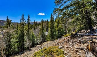 270 Co Rd 667 Lot 0, Alma, CO 80440