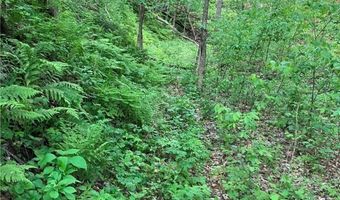 N3953-89 Bear Pen Road, Arkansaw, WI 54721