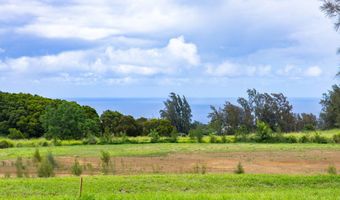 54-1749 PAIPO KANE Rd, Kapaau, HI 96755