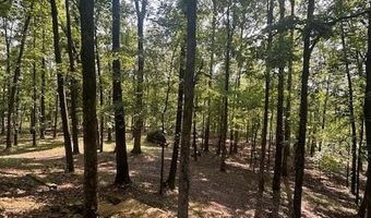 1196 Ranchland Rd, Belden, MS 38826