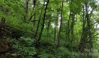 Killdevil Hill Lane unit 9 & 10 9 & 10, Bat Cave, NC 28792
