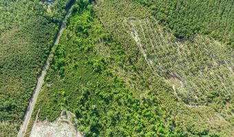 2780 Mill Creek Rd, Bethune, SC 29009