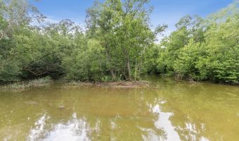 8165 County Road 97, Abbeville, AL 36310