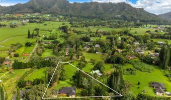 597 PUUOPAE Rd, Kapaa, HI 96746